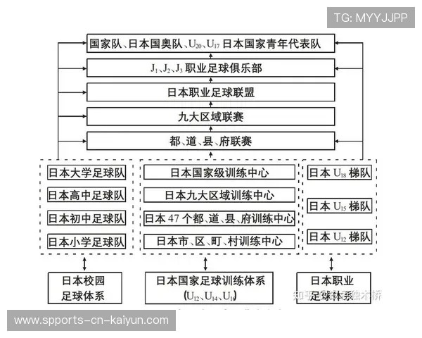 足球联赛完善俱乐部青训的监督机制与信息公开平台，足球俱乐部青训总结